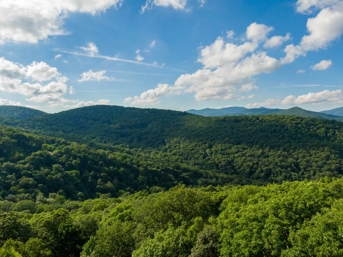 A breathtaking panoramic view of rolling hills covered in dense forest under a sky dotted with clouds. The vantage point suggests hiking trails and scenic overlooks, inviting guests to immerse themselves in the vast wilderness and tranquil beauty of the Blue Ridge region.